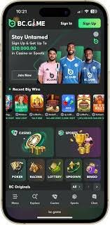 Exploring the Innovative Features of the BC.Game Platform